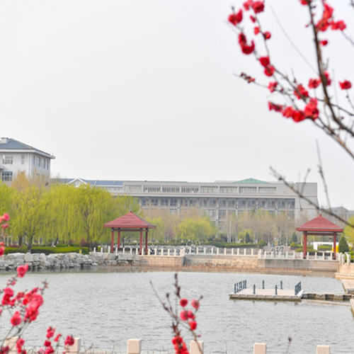最美大學