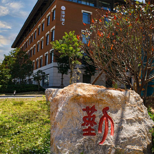 新生入学