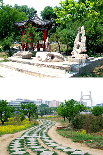 岁月流金 · 青春不散场