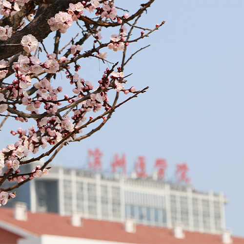 最美大學