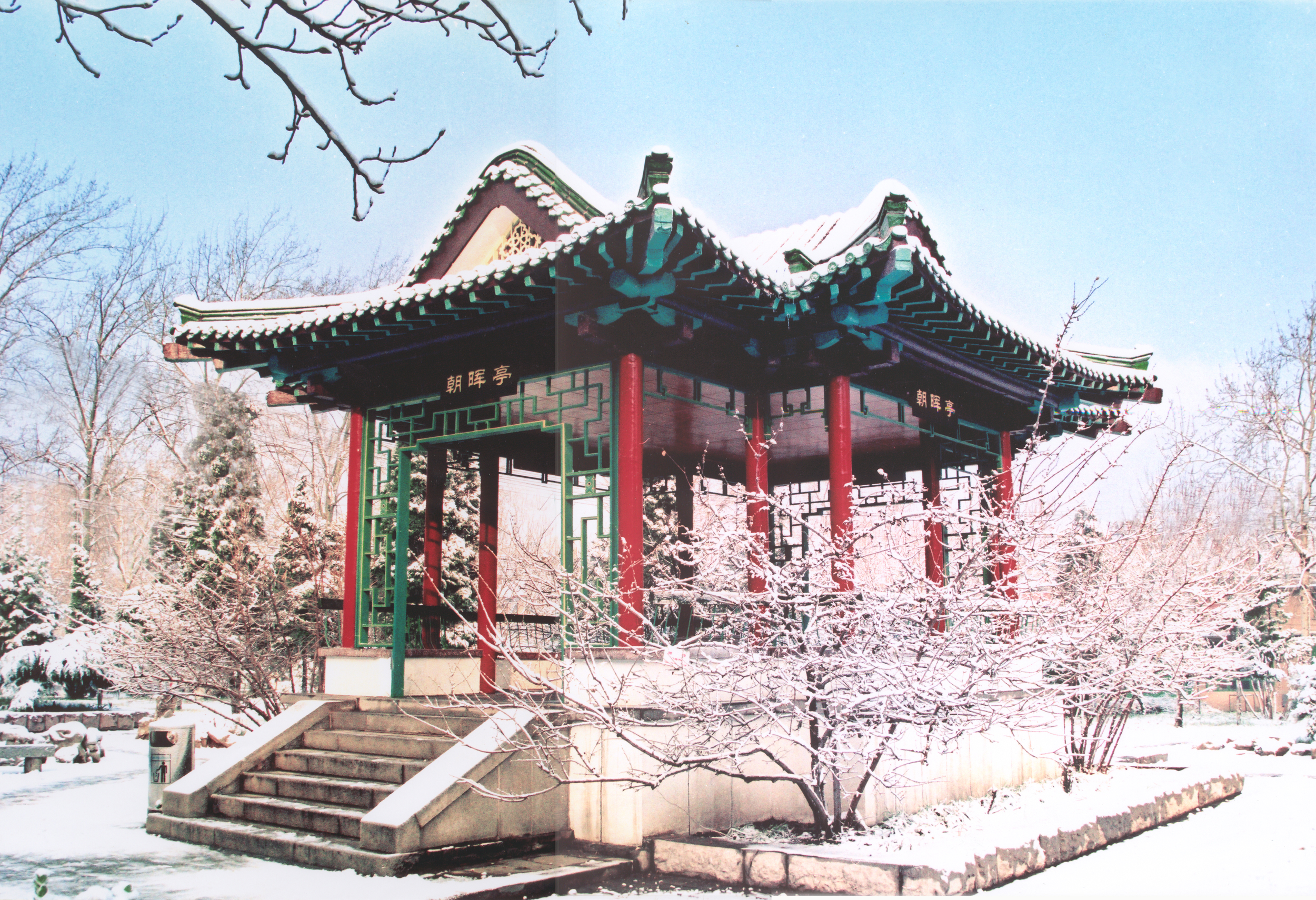 山东师范大学 我的大學