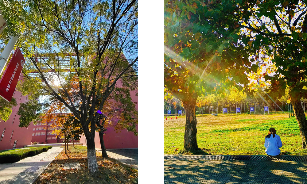 曲阜师范大学 校園文化