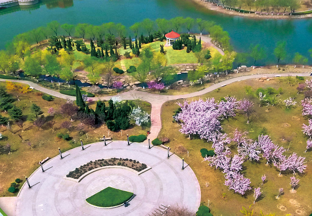 滨州学院 我的大學