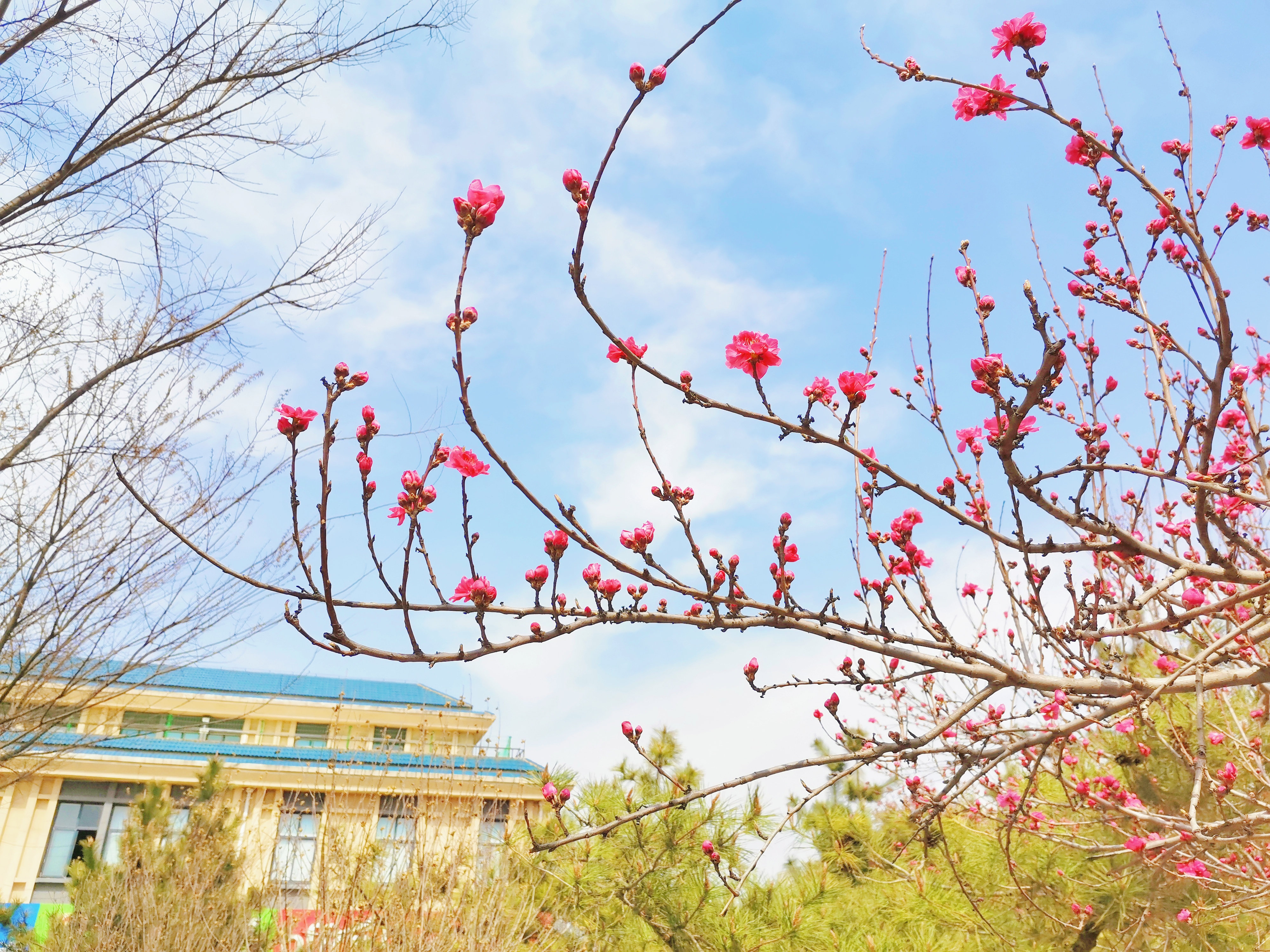 临沂大学 早安青春