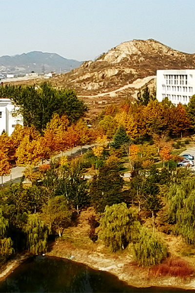 岁月流金 · 青春不散场