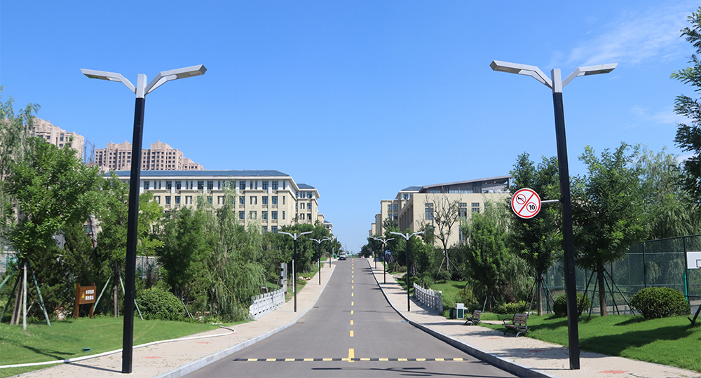 山东财经大学：校名题写 / 校徽设计