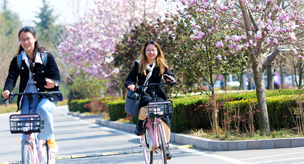 山东科技大学：校名题写 / 校徽设计