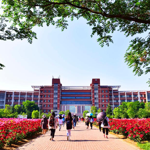 最美大學