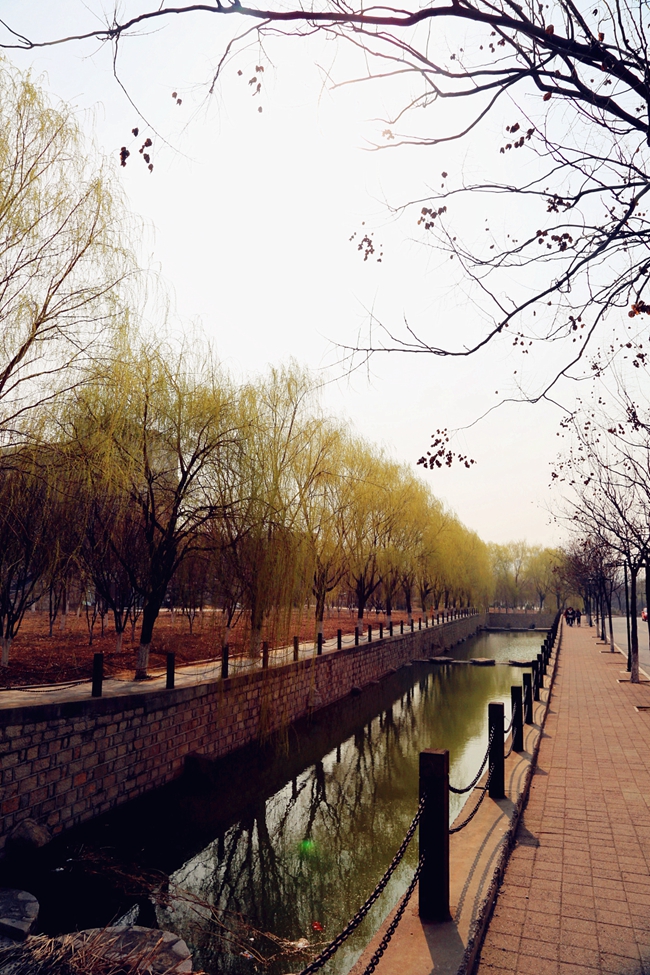 山东艺术学院-校园风景