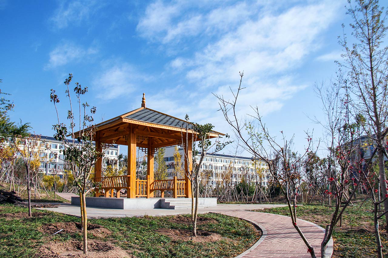 齐鲁医药学院 我的大學