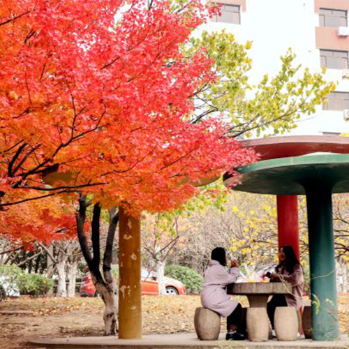新生入学