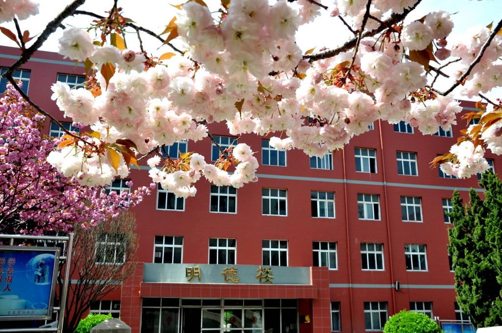 青岛滨海学院 早安青春