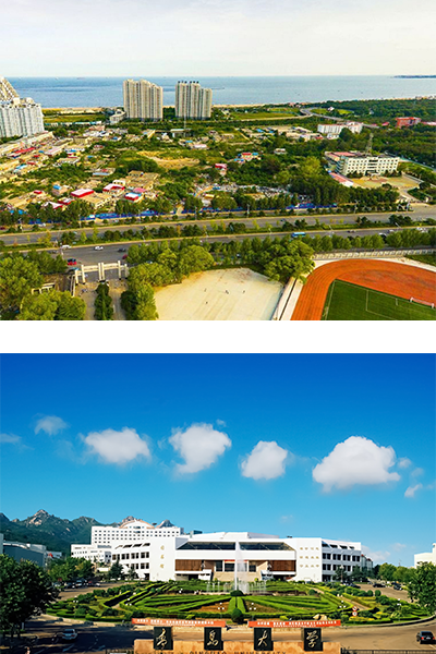 岁月流金 · 青春不散场