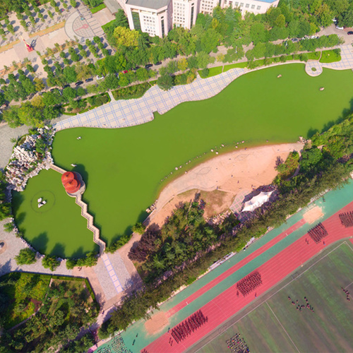 最美大學