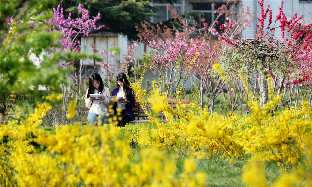 山东工商学院 校園文化