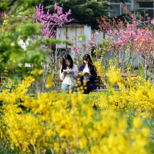 大學简介