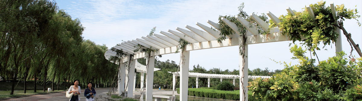 烟台南山学院 我的大學