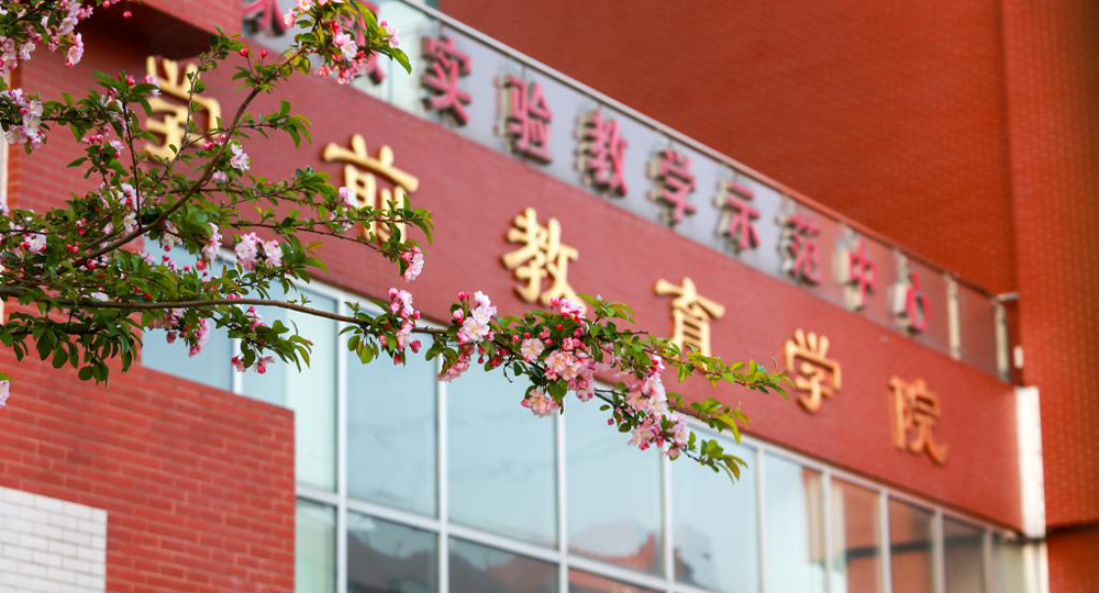 山东英才学院：校名题写 / 校徽设计