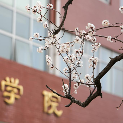 大學简介