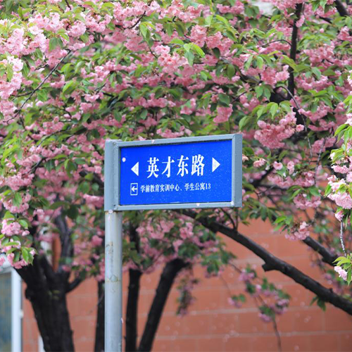 校园资讯
