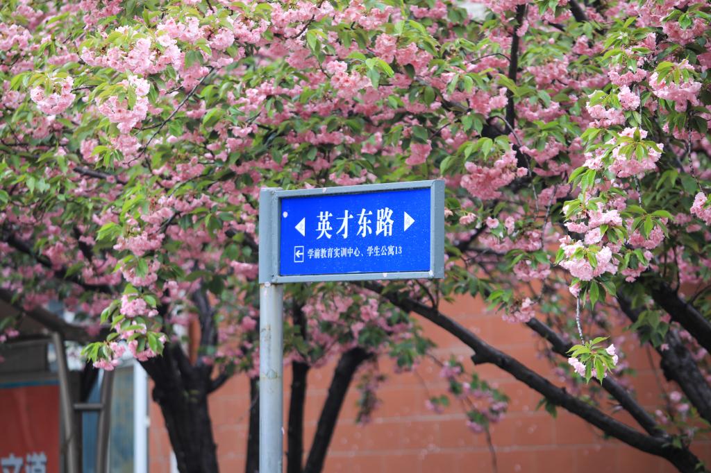 山东英才学院 我的大學