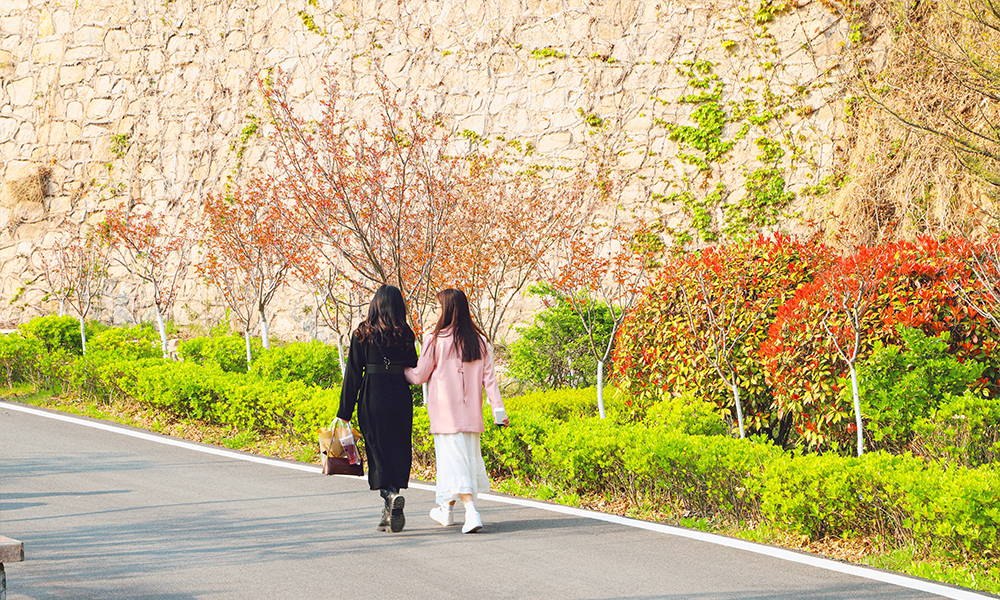 青岛恒星科技学院 校園文化