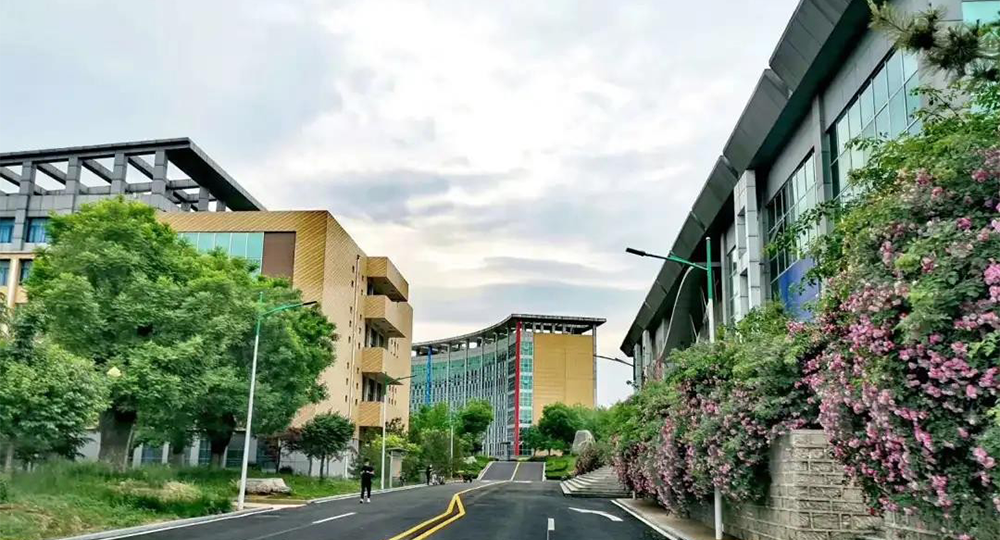 山东现代学院：校名题写 / 校徽设计
