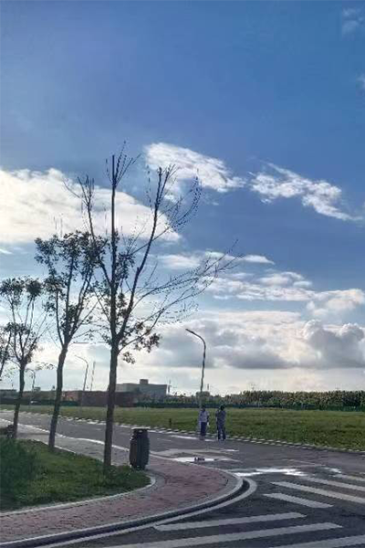 岁月流金 · 青春不散场