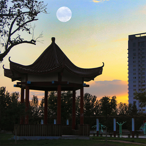 大學简介