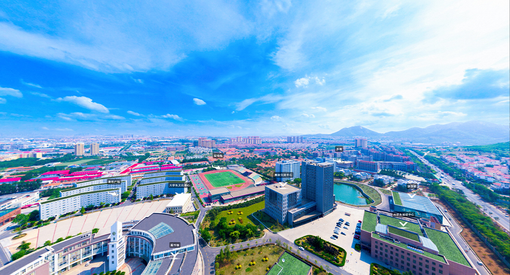 青岛城市学院：校名题写 / 校徽设计