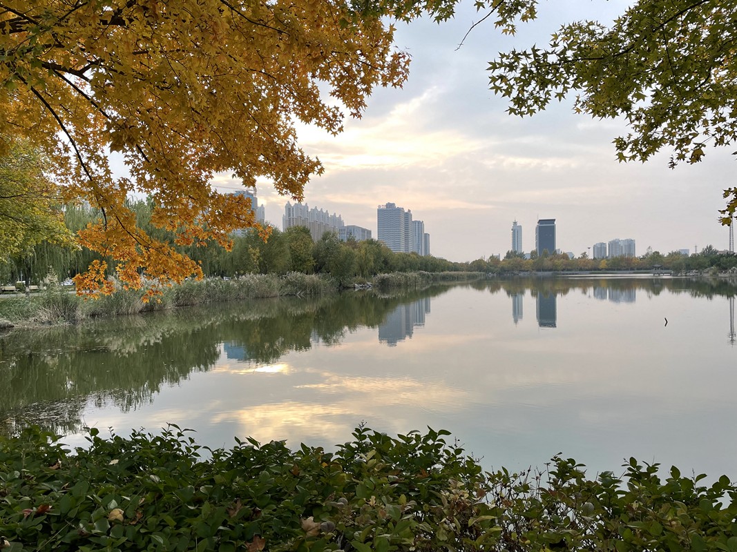 山东石油化工学院 我的大學