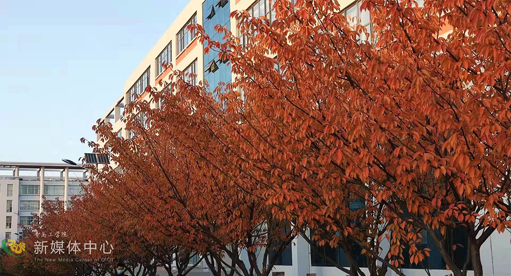 青岛工学院：校名题写 / 校徽设计