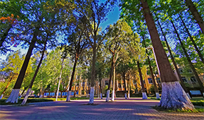 「 大學志 · 志中國 」