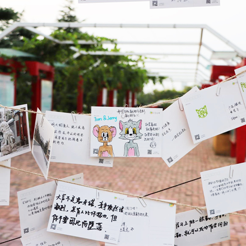最美大學