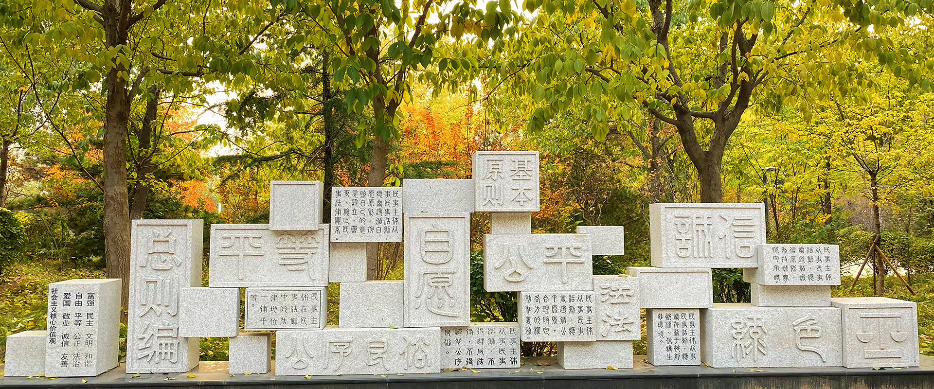 山东政法学院 我的大學