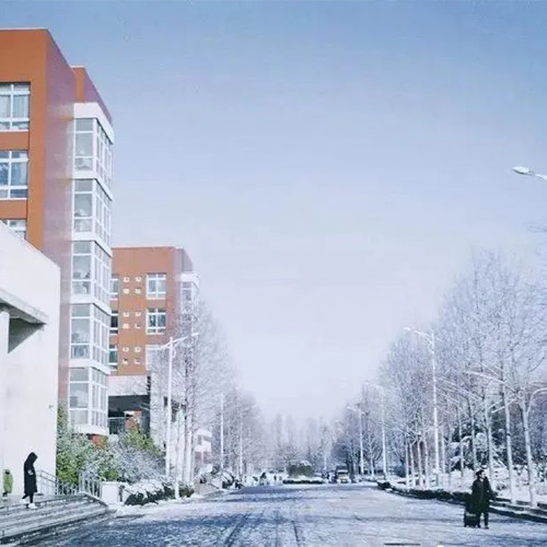 大學简介