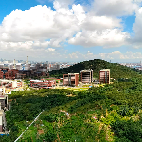 大學简介