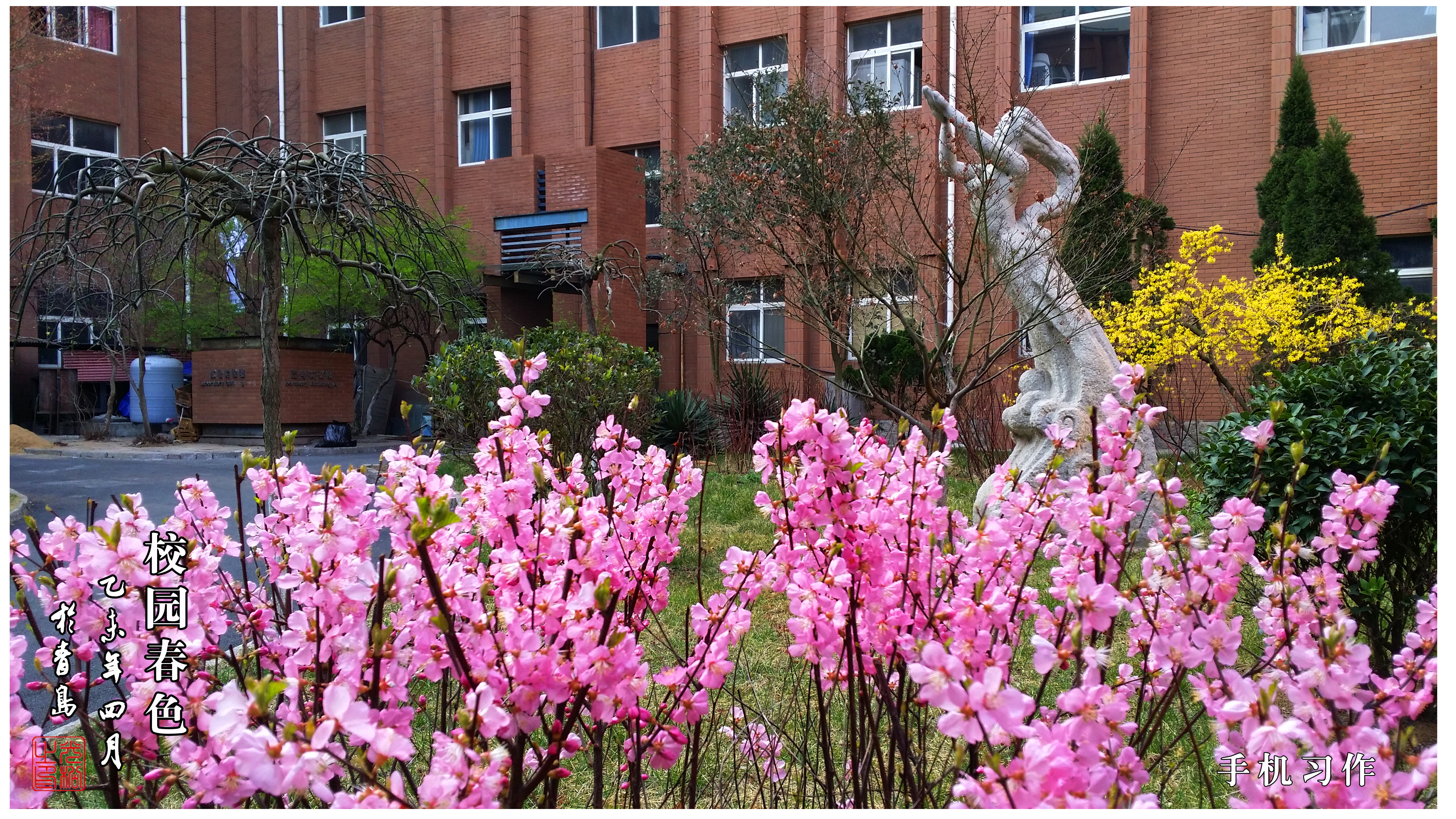 青岛理工大学 早安青春