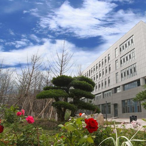 大學简介