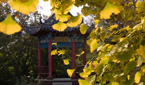 「 大學志 · 志中國 」