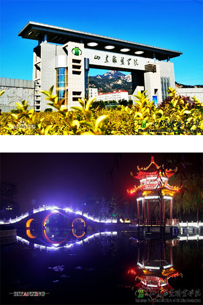 岁月流金 · 青春不散场