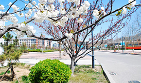「 大學志 · 志中國 」