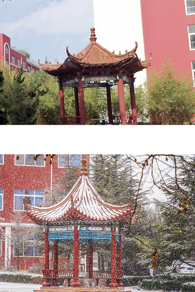 岁月流金 · 青春不散场