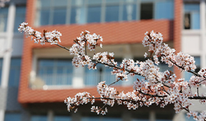 「 大學志 · 志中國 」