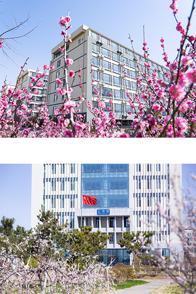岁月流金 · 青春不散场