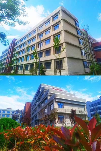 岁月流金 · 青春不散场
