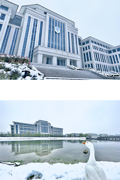 岁月流金 · 青春不散场