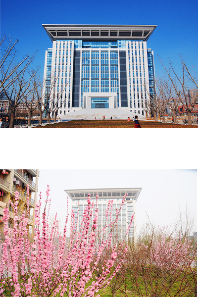 岁月流金 · 青春不散场