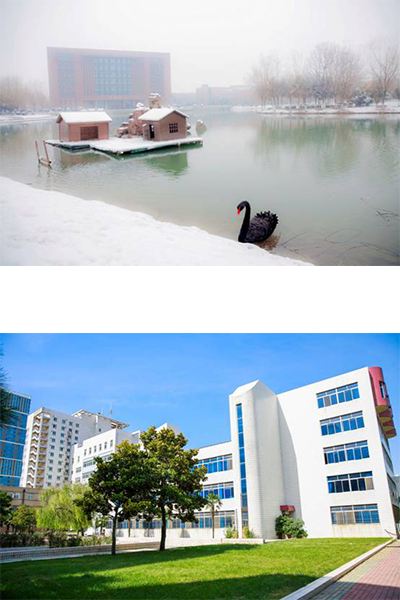 岁月流金 · 青春不散场