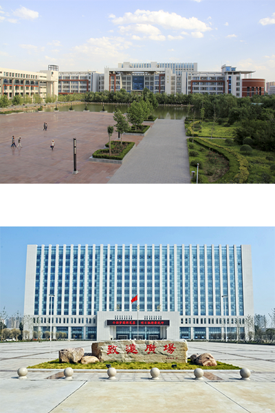 岁月流金 · 青春不散场